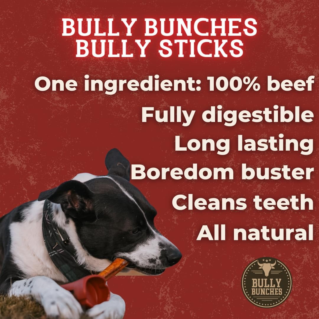 Bully Bunches Premium 6 inch Standard Bully Stick - 10 pack