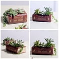 thumbnail image 4 of SweetCandy Retro Resin Garden Pot Book Shaped Succulent Flower Pot Personality Micro-Landscape Pot for Garden Living Room Study Office Balcony 5.51"X3.93"X1.96", 4 of 6