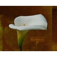 thumbnail image 2 of Vitaly Geyman 14x12 White Modern Wood Framed Wall Art Titled - Calla Lily Romance, 2 of 5