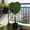 1PC, variant on 2.5 ft Boxwood Heart Topiary Outdoor, 2 Sets Valentine's Day Heart Shaped Topiary Trees, Artificial Decorations Ball Planter Pots with Bow Tie, Faux Fake Mini Greenery Indoor Porch Home Decor