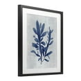 thumbnail image 3 of Stupell Industries Blue Sea Algae Black Framed Print Under Glass design by Amber Sterling, 16 x 13, 3 of 10