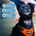 thumbnail image 2 of Voyager Step-In Lock Dog Harness & Reflective Leash Set w/ Neoprene Handle 6ft - For Small to Large Breed Dogs/ Cats, Cute & Heavy-Duty for Walking, Running & Training - Orange Black Trim, S, 2 of 9