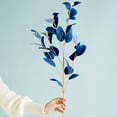 thumbnail image 5 of QIDESHIP Mediterranean Style Artificial Eucalyptus Branches, 1-Piece with Leaves Silk Flowers for Home Decor, Wedding Bouquets, Table Centerpieces & Vase Arrangements, 5 of 9