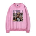 thumbnail image 2 of Pitbull Mr.Worldwide merch  sweater  capless crewneck sweater men/women  vintage pullovers, 2 of 7