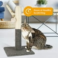 thumbnail image 5 of PAWBEE Cat Scratching Post with Sisal Rope & Hanging Ball Toy, 20”, 5 of 8