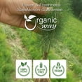 thumbnail image 5 of Organic Way Dried Shatavari Cut & Sifted (Asparagus Racemosus) - Organic & Kosher Certified | Raw, Vegan, Non GMO & Gluten Free | USDA Certified | Origin - India (1/2 lbs / 8 oz), 5 of 9