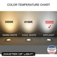 thumbnail image 4 of Master of Light F40T12 Daylight Fluorescent Tubes, 4-Pack, 48-Inch, 40W, 6500K, 2650 Lumens, T12 G13, 4 of 5