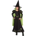 thumbnail image 1 of Wizard Oz Wicked Witch Child Costume, Medium, 1 of 1