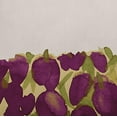 thumbnail image 2 of Simply Daisy, 14" x 20" Sunset Tulip Purple Floral Decorative Outdoor Pillow, 2 of 3
