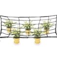 thumbnail image 6 of Trellis Netting For Plants, Grow Tent Accessories, Trellis Nets, Elastic Lattice Support Net with Hooks for Greenhouse Tent Vegetation, 6 of 7