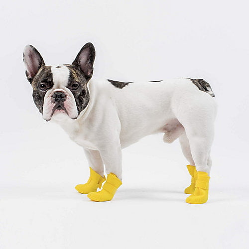 dog rain boots