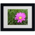 thumbnail image 2 of Trademark Fine Art "Alluring Vibrance" by Monica Fleet, Black Frame, 2 of 3