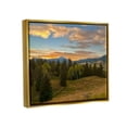 thumbnail image 3 of Stupell Montana Sunset Forest Clearing Landscape Photography Gold Floater Framed Art Print Wall Art, 3 of 6