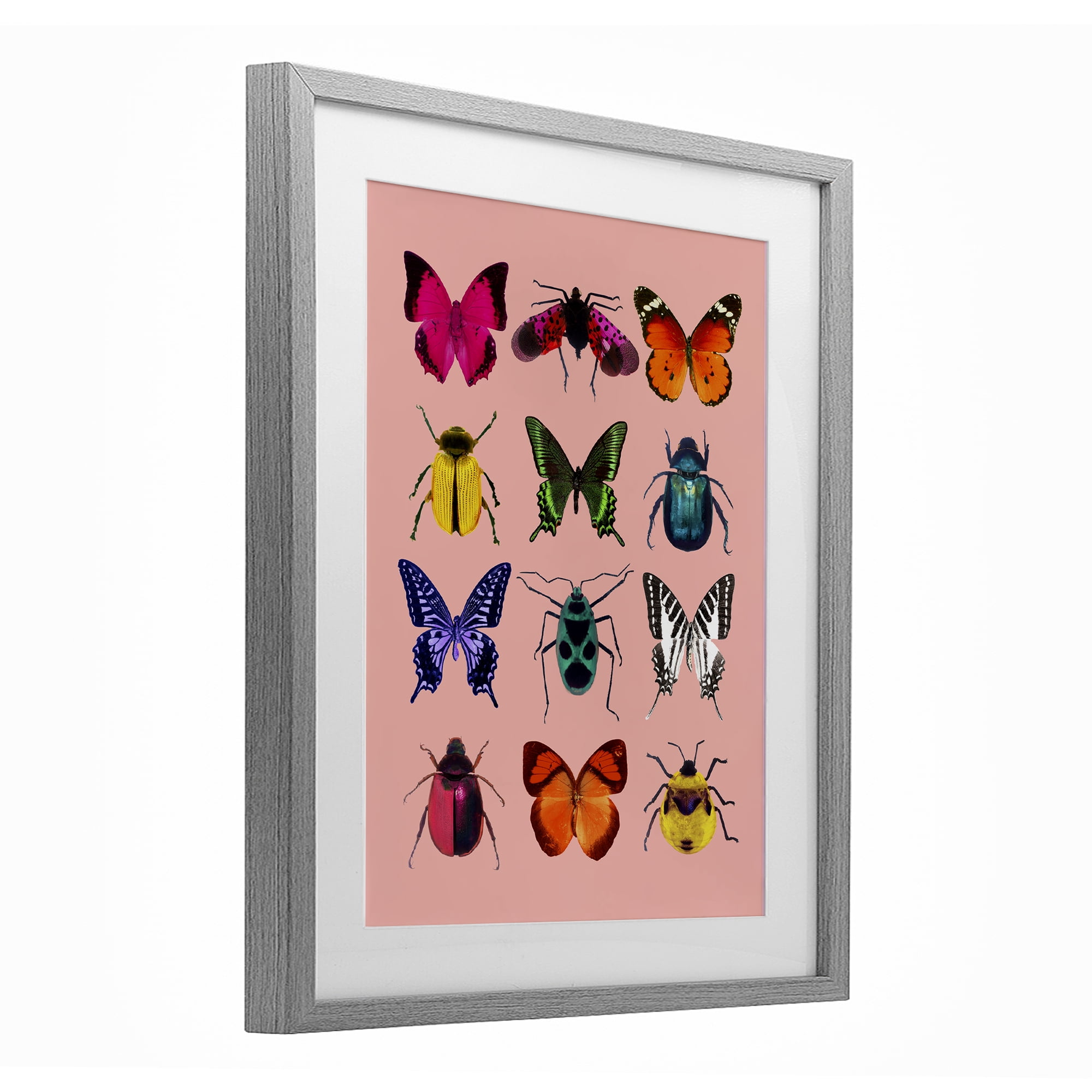 Colorful Bug Species on Pink Gray Framed Print Under Glass, design by LISH Creative