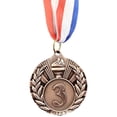 thumbnail image 3 of Medalla Bronce 5 Cm Con Cinta para El Cuello Premios Al Ganador Juegos Pelota, 3 of 4