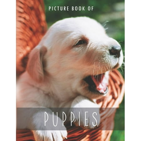 Colorful Picture Books for Alzheimer s P Picture Book of Puppies: for Alzheimer s Patients and Seniors with Dementia. (Paperback) Colorful Picture Books for Alzheimer s P Picture Book of Puppies: for Alzheimer s Patients and Seniors with Dementia. (Paperback)