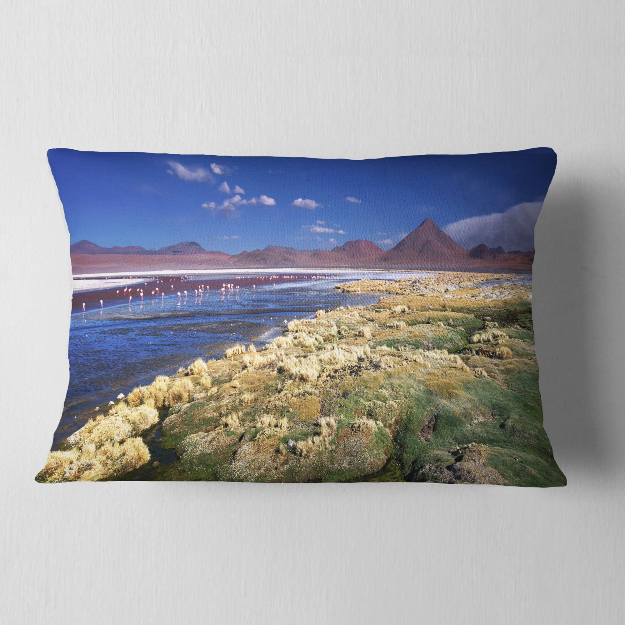 Designart Colorada Lagoon and Pabellon Volcano - Oversized Beach Throw Pillow - 12x20