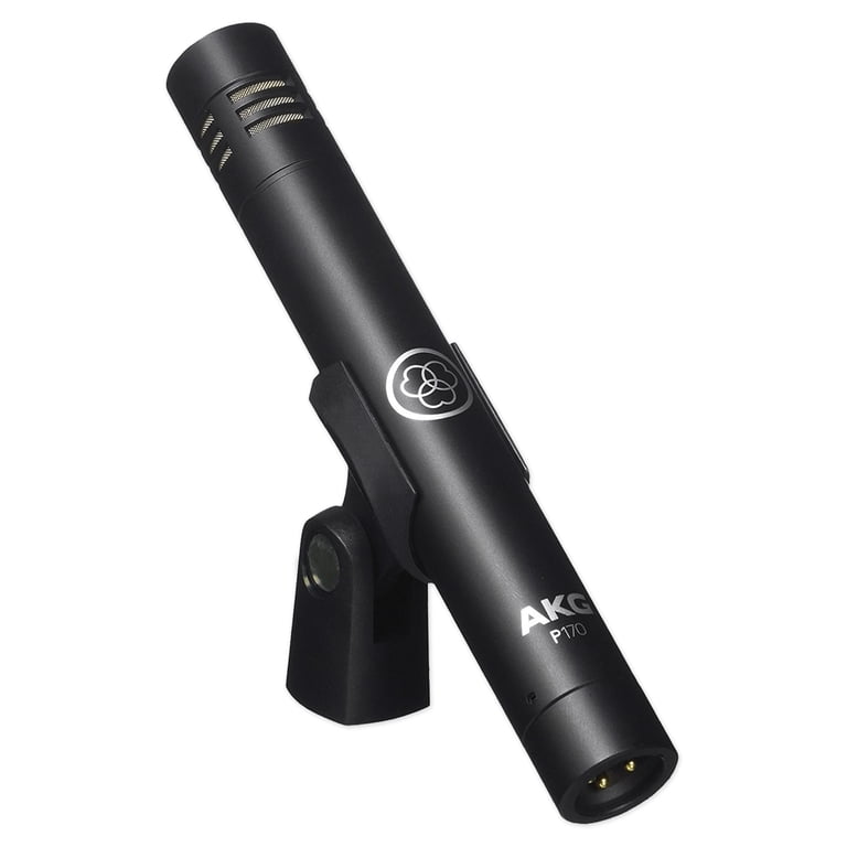 2) AKG P170 Pencil Microphones Recording Overhead Instrument Mics+