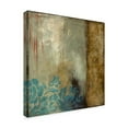 thumbnail image 2 of Trademark Fine Art 'Teal Patina III' Canvas Art by Jennifer Goldberger, 2 of 4