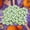 Green GN, variant on WIZUTIZ Lightweight Simulated Foam Harvest Pumpkin Decor Colorful Gold Handle Halloween Fake Vegetable Prop Thanksgiving Table Centerpiece Ornament Versatile Seasonal Indoor