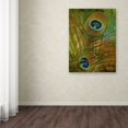 thumbnail image 3 of Trademark Fine Art "Peacock Candy II" Canvas Art by Color Bakery, 3 of 3