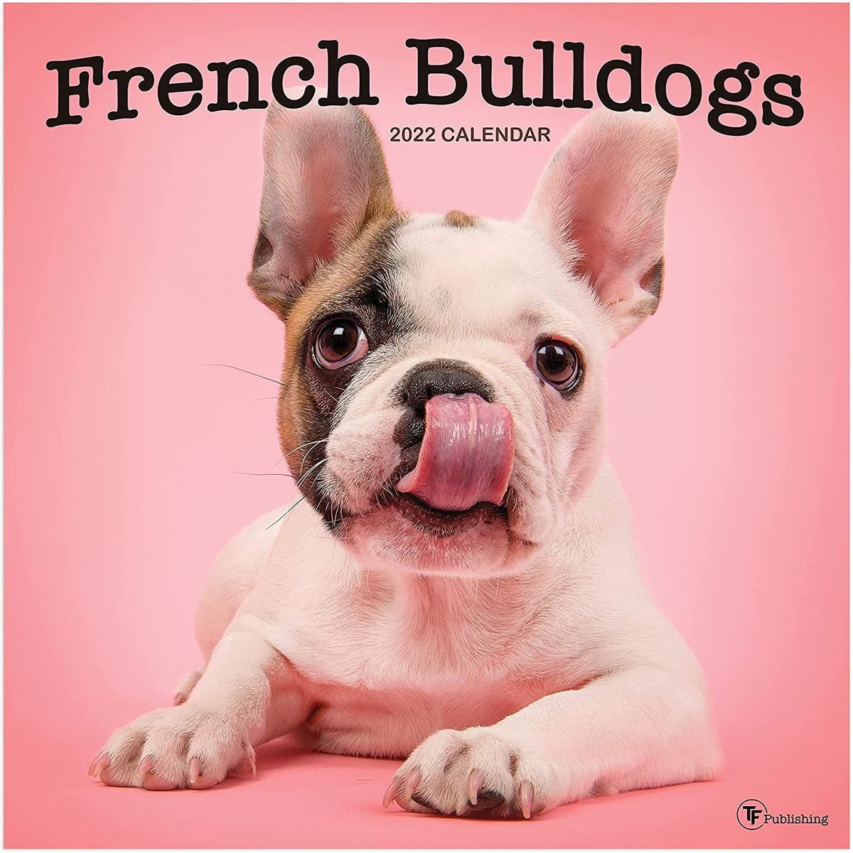 Buy French Bulldog 2022 2023 Dog Monthly Wall Calendar 16 Month Buy French Bulldog 2022 2023 Dog Monthly Wall Calendar 16 Month