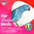thumbnail image 3 of Super Bird Creations SB448 Katy's ABC Jr. Interactive Bird Toy - Durable Chew Toy, Non-Toxic Textured ABC Blocks, Safe 'Polly' Rope, Ideal for Parrots & Ringnecks - Medium Bird Size - 7" x 5" x 1.5", 3 of 7