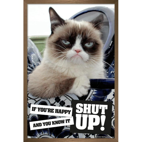 Grumpy Cat - Shut Up Wall Poster, 22.375" x 34", Framed