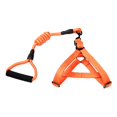 thumbnail image 1 of New Pet Traction Rope Adjustable Pet Rope Medium And Large Bite Resistant Explosion-proof Ropesebneei, 1 of 3