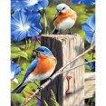 thumbnail image 2 of Cuadros Decorativos Diamante de resina de diamante cuadrado de la serie Little Bird (ZQF2349) Tmvgtek embutido en tela, 2 of 6