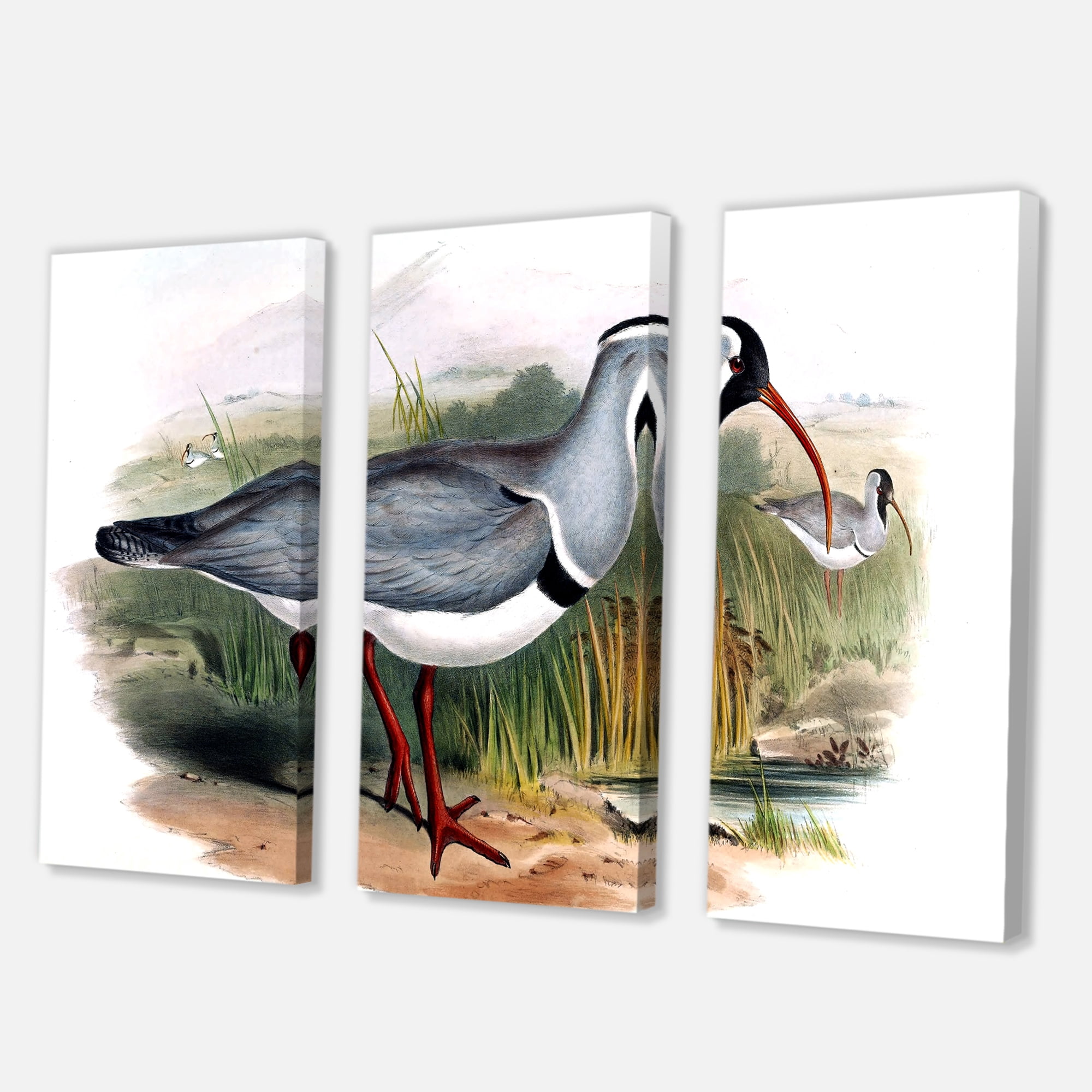 Designart ' Vintage Countryside Birds In Wild ' Farmhouse Canvas Wall Art Print