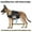 Black, variant on Dog Hiking Vest Adjustable Portable Multi-Pocket Vest Outdoor Camping Travel Multi-Pocket Vest Hiking Jacket for Dog with Pockets Medium Large Dogs only Black and Khaki