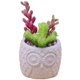 thumbnail image 1 of Mini suculenta artificial en maceta, planta de plástico en maceta, decoración de vegetación sintética, 1 of 5