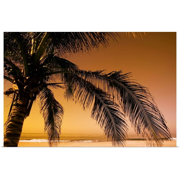 Great BIG Canvas | Rolled Darren Greenwood Poster Print entitled Palm Tree And Sunset In Mexico
