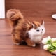 thumbnail image 3 of Espécimen de gato coleccionable de gato artificial de felpa portátil para adornos de jardín doméstico JShteea  libre de BPA, 3 of 8