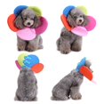 thumbnail image 4 of Pet Chat Chien Fleur Collier Anti Morsure Beauté Réglable Protecteur Anneau de Couverture, 4 of 5