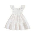 thumbnail image 1 of Biekopu Toddler Kids Girls Dress, Summer Flower Embroidery Fly Sleeve A-line Dress Sweet Princess Dress,Casual Daily Wear,6M-4 Years, 1 of 8