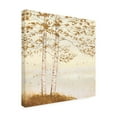 thumbnail image 2 of James Wiens 'Golden Birch I Off White' Canvas Art, 2 of 3