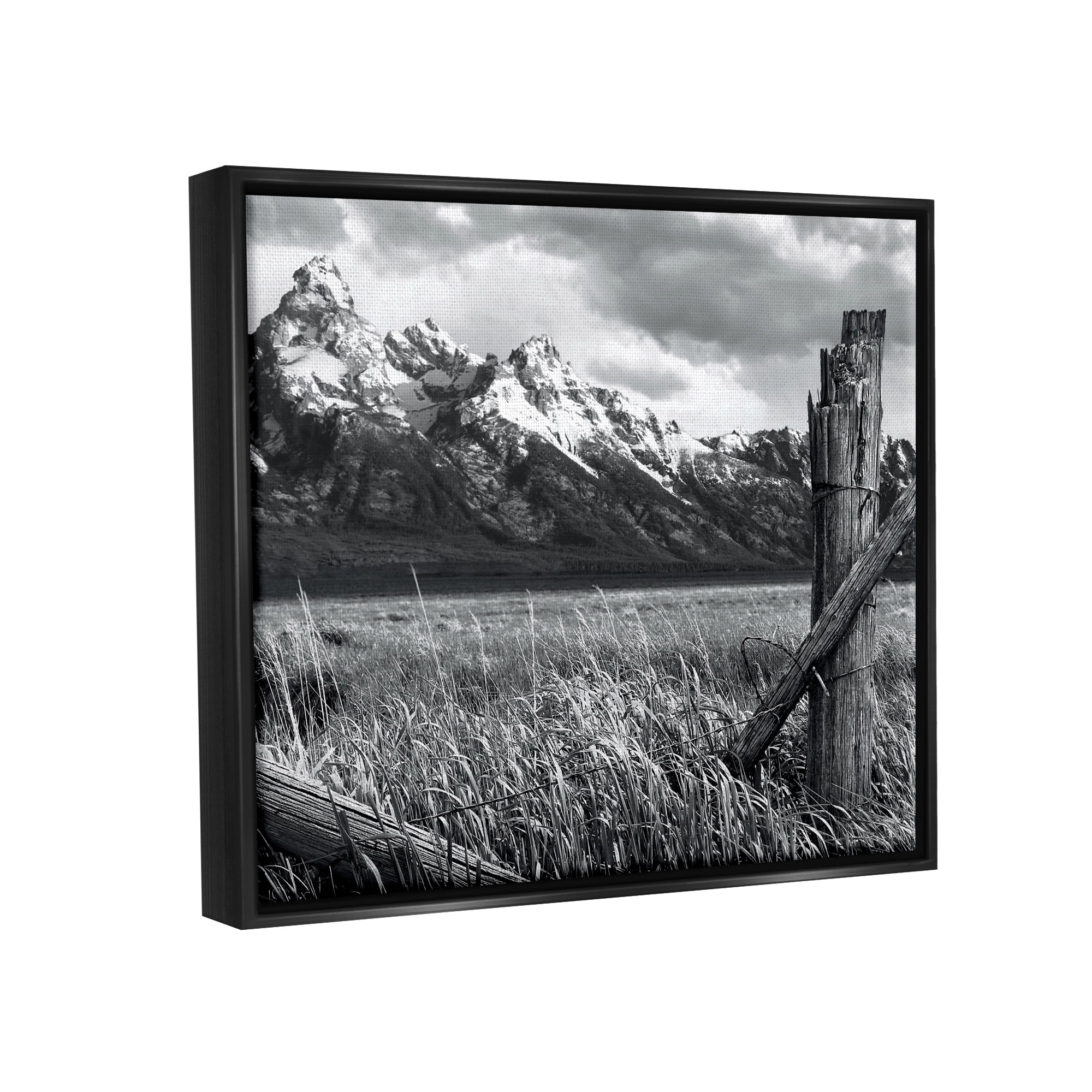 Stupell Industries Grassland Fence Photography Landscape Photography Black Floater Framed Canvas Art Print Wall Art, 31 x 25