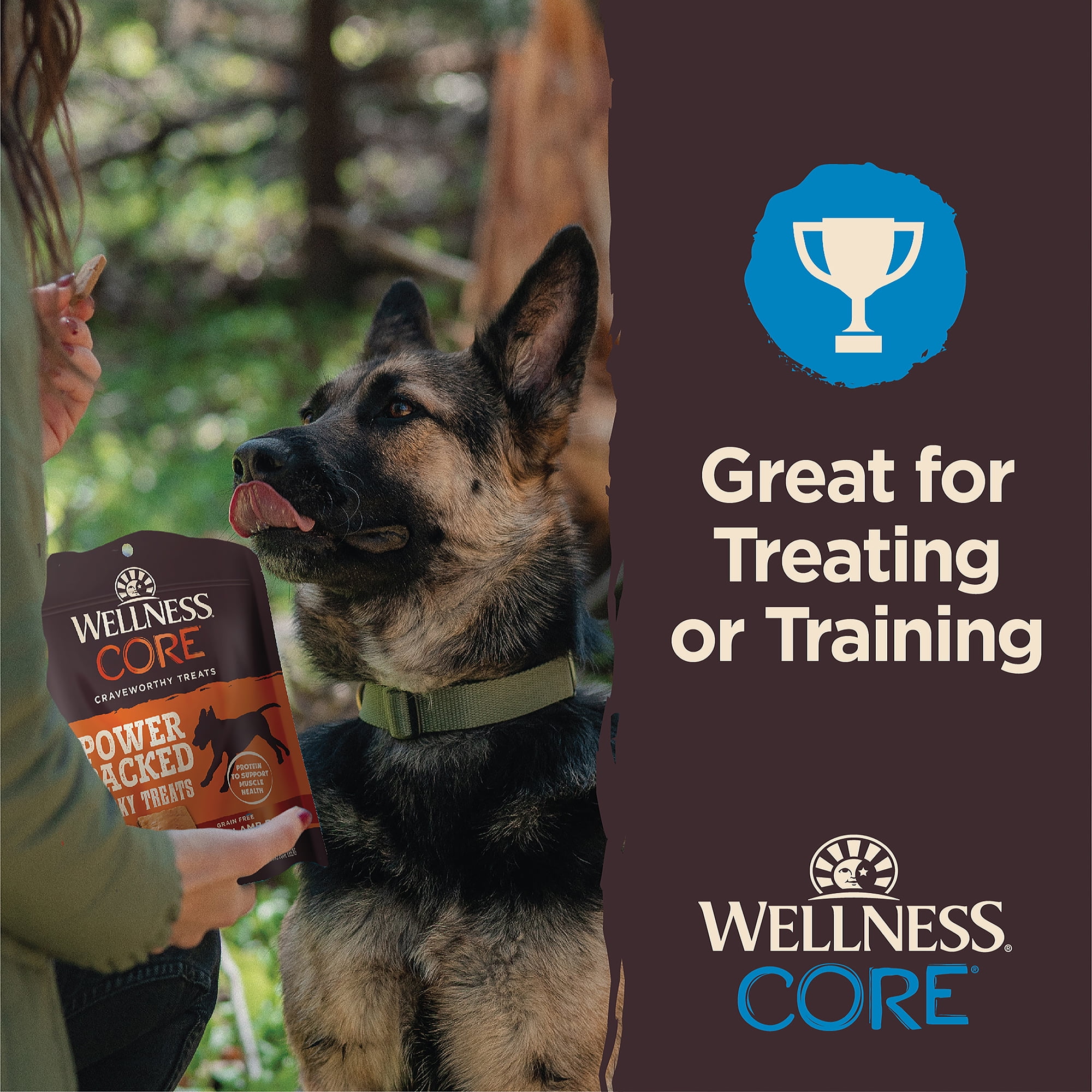 Wellness CORE Power Packed Jerky Dog Treats Grain Free Venison