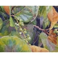 thumbnail image 3 of Fagan, Edie 18x15 Black Modern Framed Museum Art Print Titled - Sea Grapes II, 3 of 5