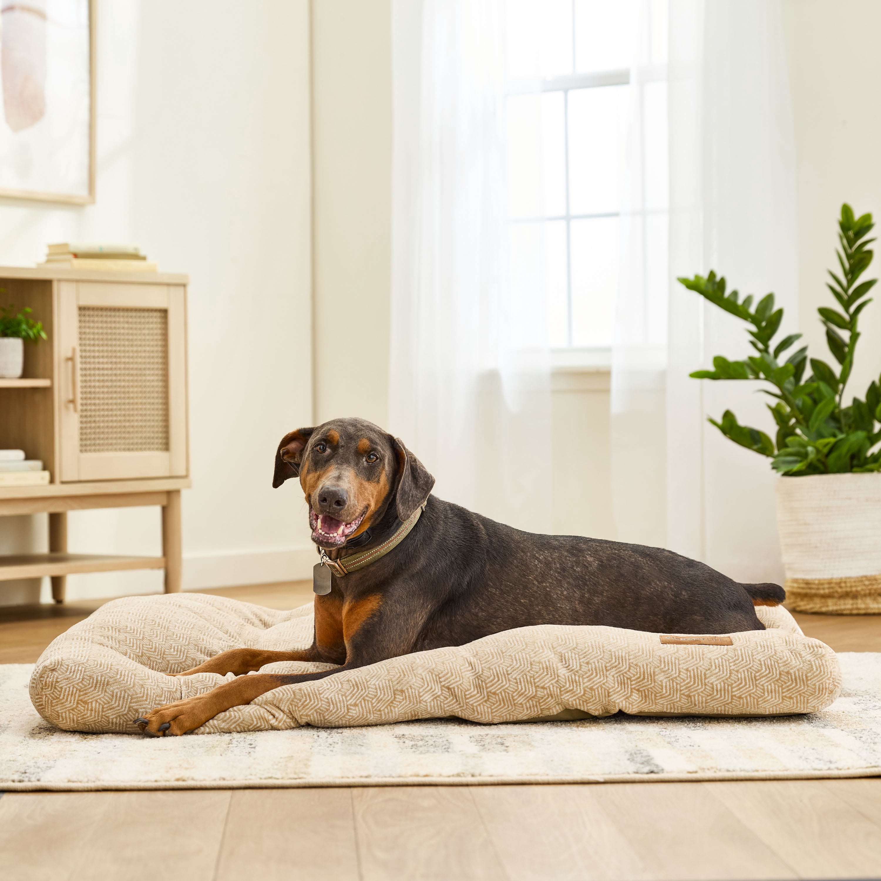 Vibrant Life Extra Large Dog Bed, Plush Pillow Bed For Large Breeds, Extra Large, 38" x 48", Tan