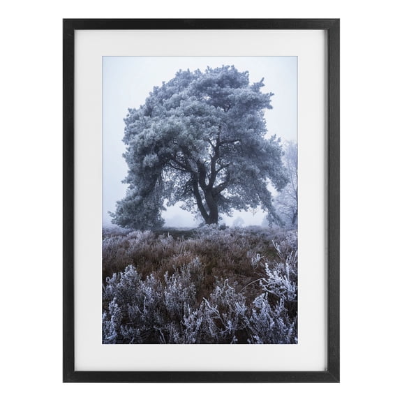 Stupell Industries Frosted Tree in Winter Mist Black Framed Print Under Glass, design by Martin Podt
