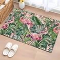 thumbnail image 3 of Pink Flamingo Front Door Rugs 2x3 ft Country Tropical Animal Green Monstera Leaf Plant Farm Small Rug for Entryway Non Slip Washable Bathroom Door Mat Absorbent Floor Mat for Indoor Entrance, 3 of 9