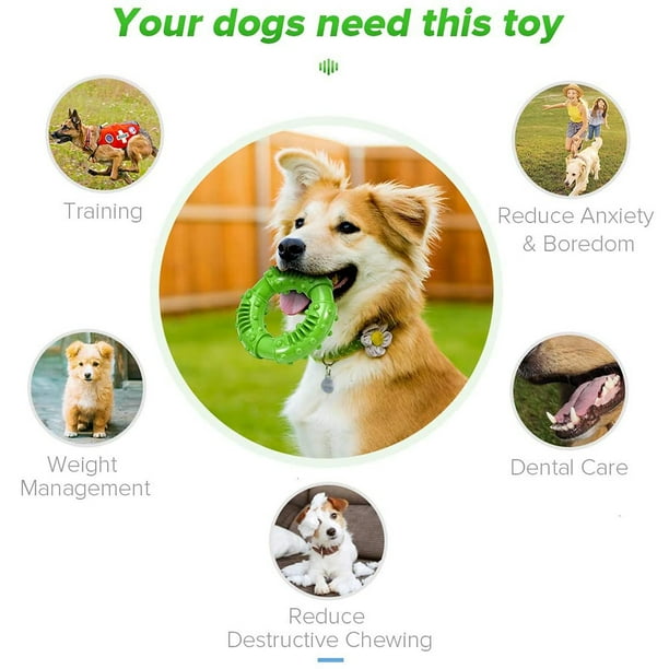 Large breed best sale puppy chew toys