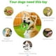 thumbnail image 4 of Pet Ring Limpiador de Dientes Juguete de Goma - Verde Xemadio 2035131-2, 4 of 9