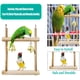 thumbnail image 4 of Paquete de 8 juguetes de madera para pájaros, coloridos juguetes para masticar, cadena de molares para loros, columpio de madera natural, juguete para masticar animales para periquitos, cacatúas, periquitos y pájaros JM, 4 of 5