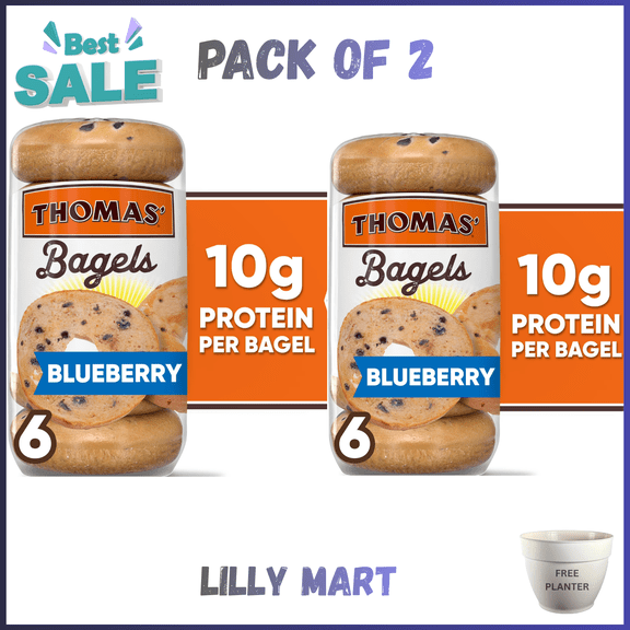 Thomas' Blueberry Bagels, 6 count, 10g Protein, Kosher Bagels, 20 oz Bag pack of 2