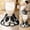 D, variant on Cute Cat Toilet Rugs U-Shaped Bathroom Contour Rug Bathroom Mats Washroom Mats for Kitchen, Bathtub, Sink, for Cat Lovers Mom