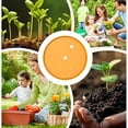 thumbnail image 3 of relayinert Universal Flower Flower Box, Garden With Promotes Healthy Root To Use, Design, Suitable For Patios, Indoor And yellow, 3 of 6